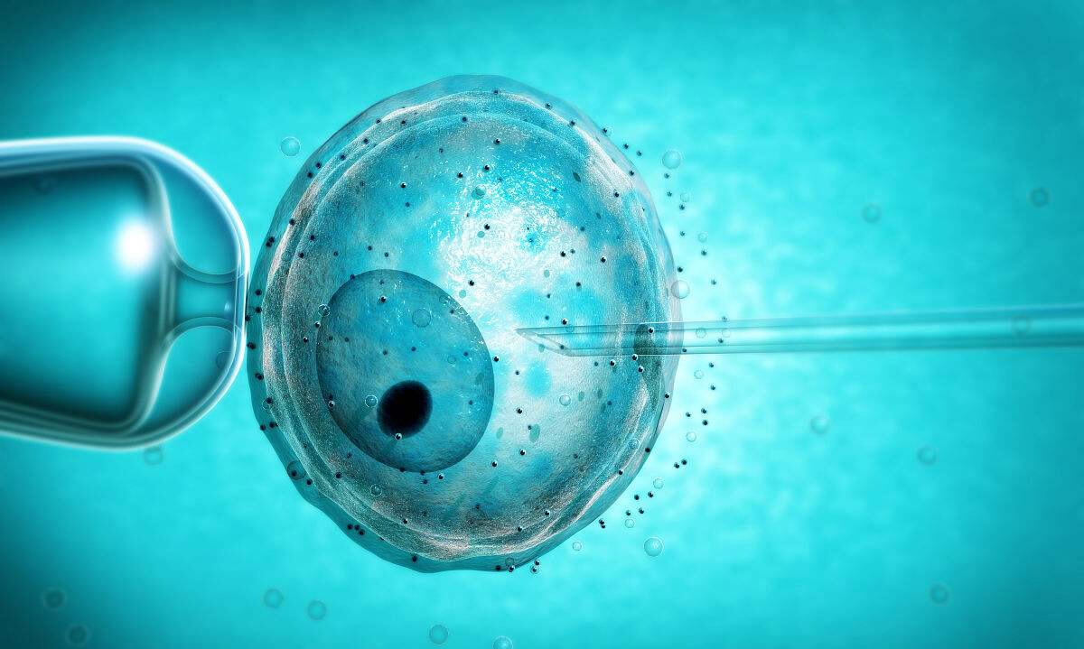 泰国杰特宁医院试管婴儿技术权威