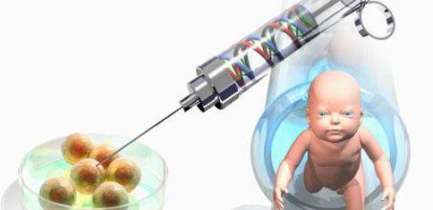 泰国试管婴儿与双胞胎出生率的关系研究