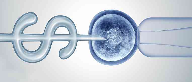 泰国试管婴儿中介机构